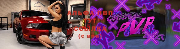индика Верея