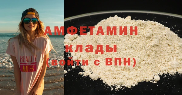 индика Верея