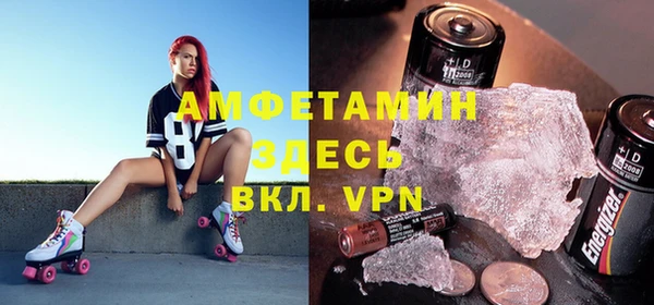 индика Верея